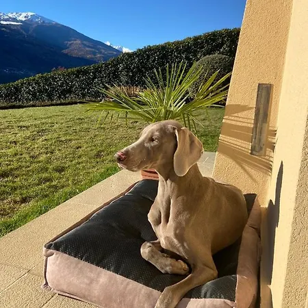 Design & Mountain View Bedroom *